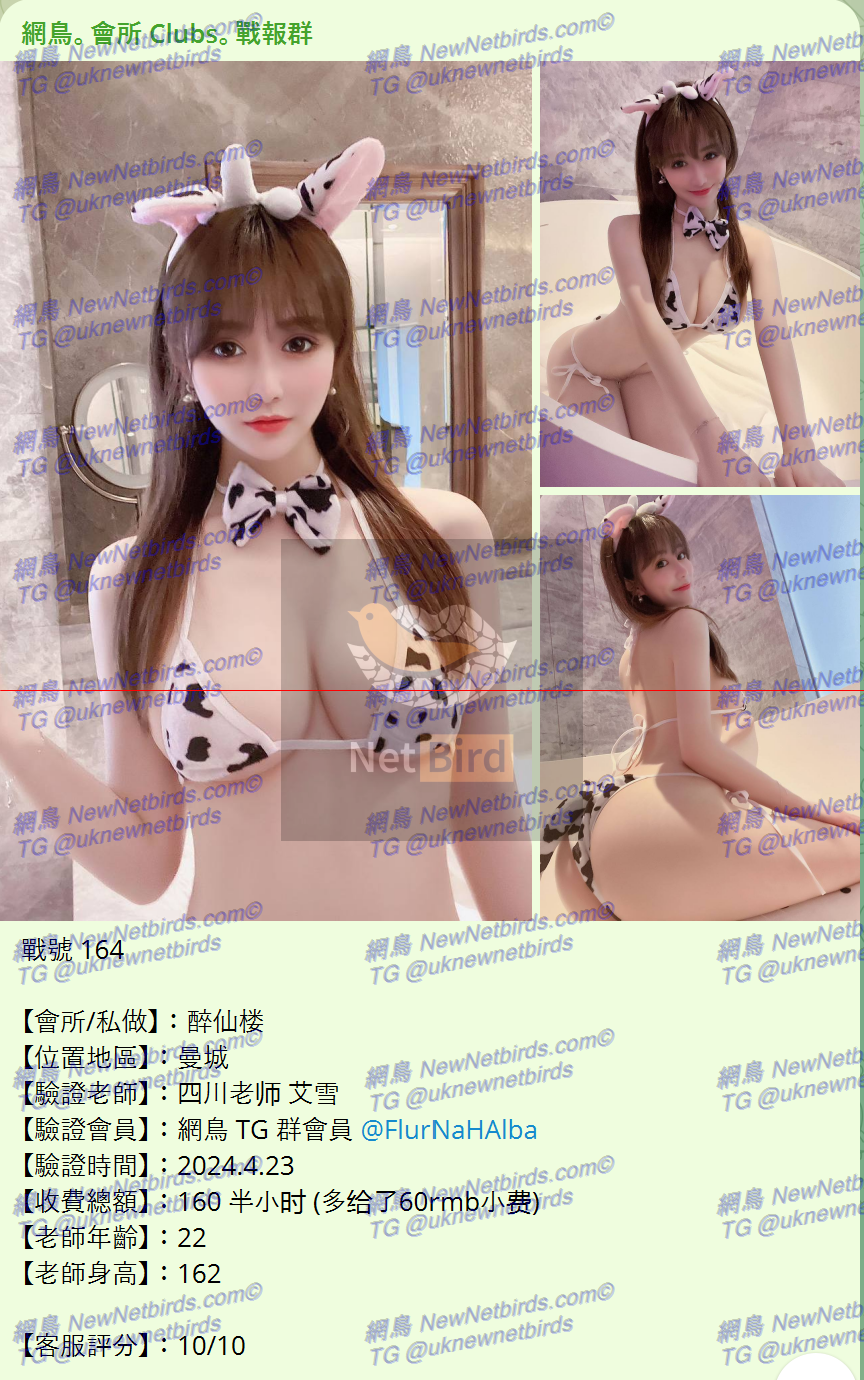 戰號 164 1.png